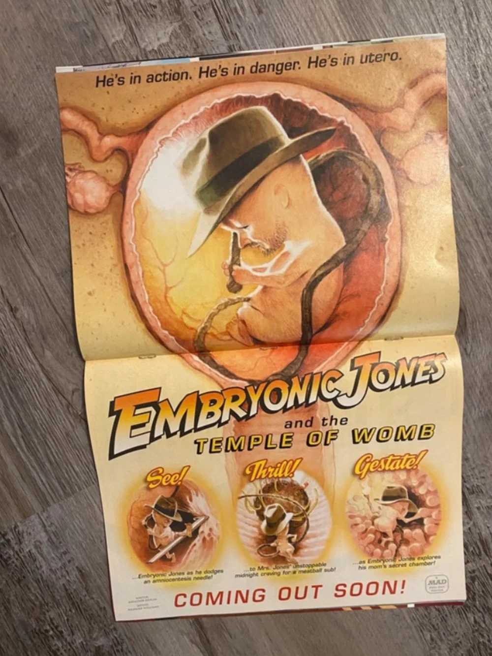 Mad Magazine Indiana Jones June 2008 Issue With Bonus Poster